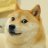 cryptopuppy