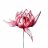 LikeAflowerInTheDawn