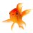 GoldenFish