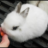 whimsicalbunny