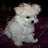 princess-bella