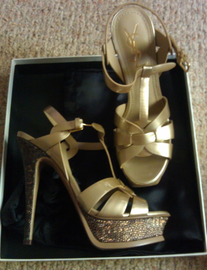 IMAG0098.jpg