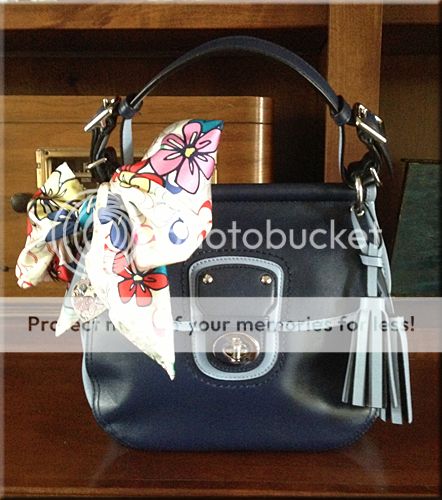 bluewillisscarfsm_zps6b72b5e7.jpg