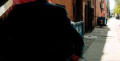 tumblr_o250ld78t21rpotpgo1_250.gif