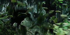 tumblr_o47ij5TRdN1qlgnv9o6_250.gif