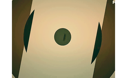 tumblr_mcedrzznDl1qdpxh1o1_500.gif