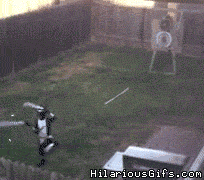 gdozV.gif