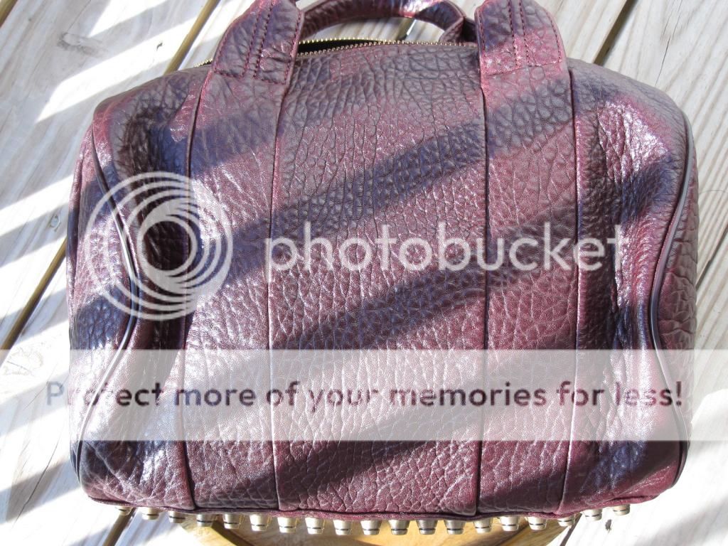 RoccoBeet007_zpscfc42129.jpg