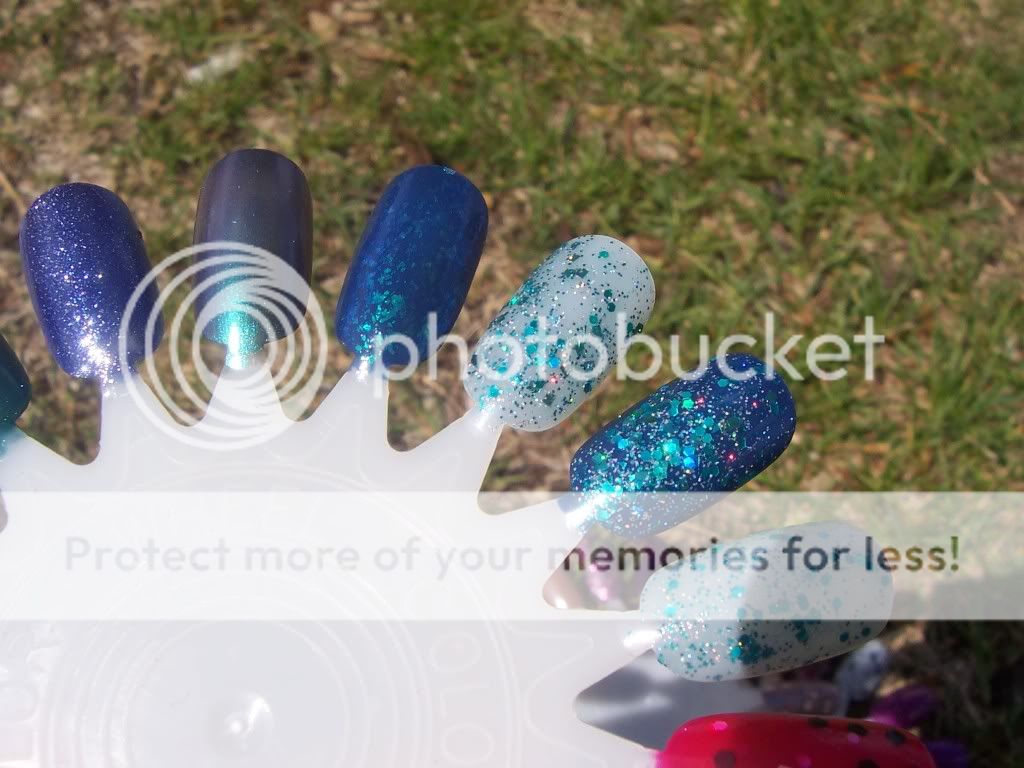 100_3871.jpg