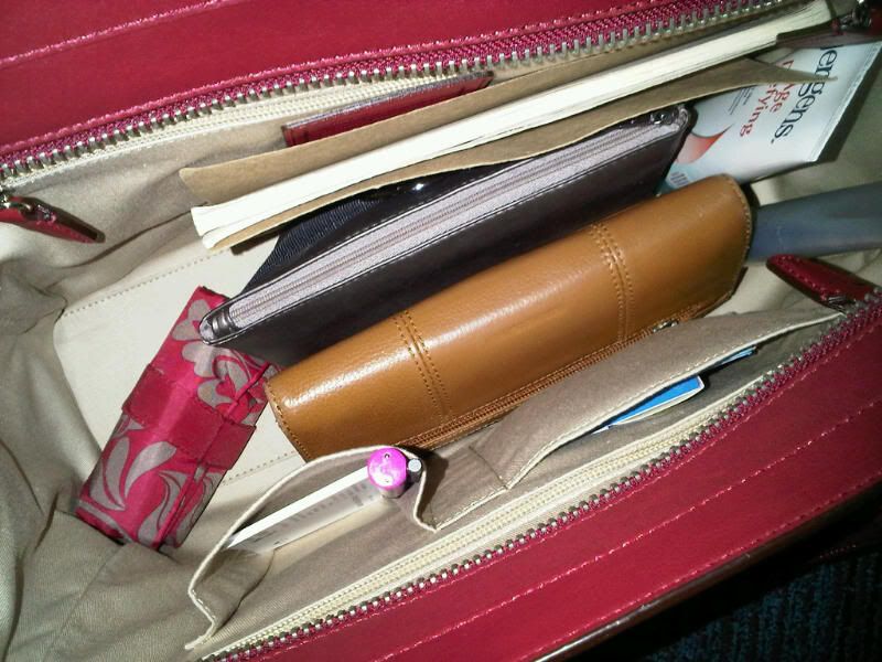 insidemybag.jpg
