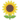 emoji_u1f33b.png