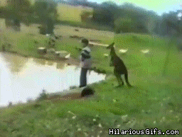 H0leF.gif