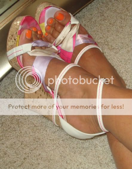 Pucciwedges.jpg