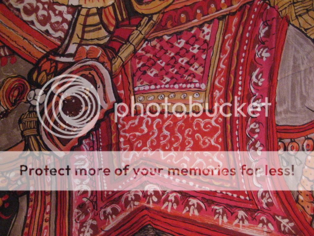 IMG_1665.jpg