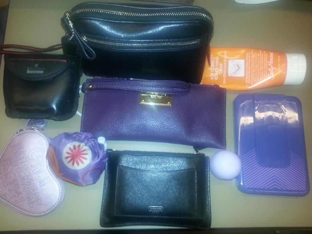 insidebag.jpg