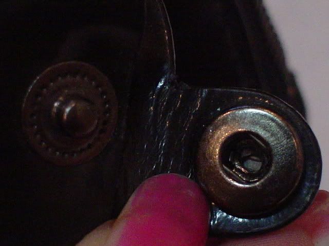 DSC02536.jpg
