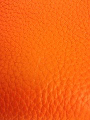 8120732119_c242a41e22_m.jpg
