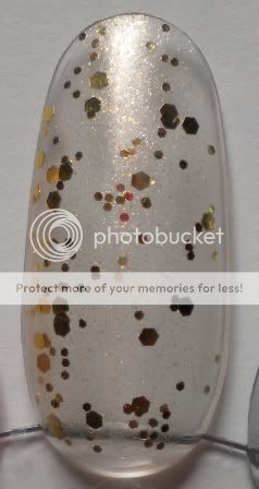 DSCN7395.jpg