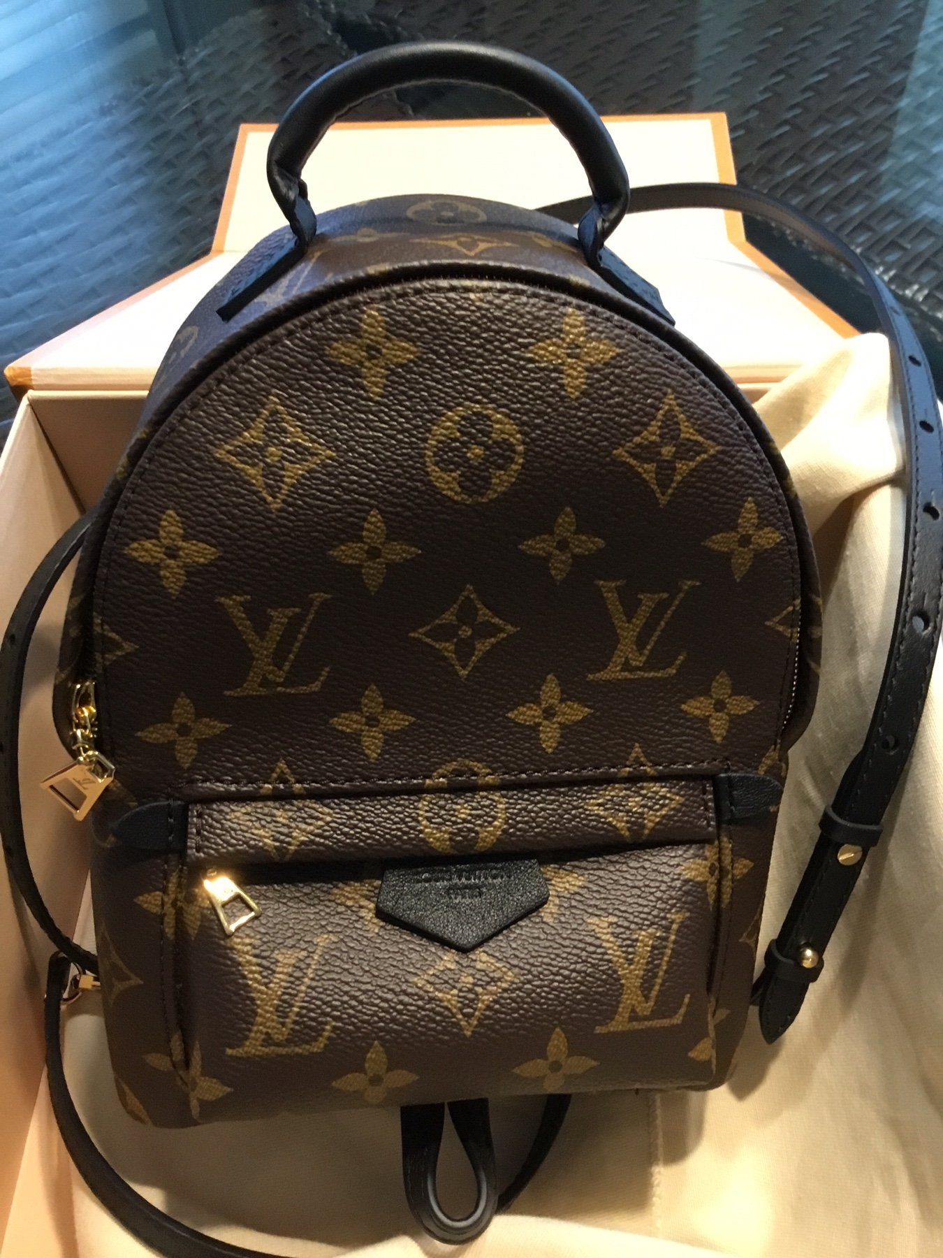 LV Mini Palm Springs Backpack, Page 166