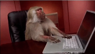 wLqH3y4.gif