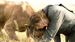 tumblr_o49kj0s88l1ty8mi0o6_r1_250.gif