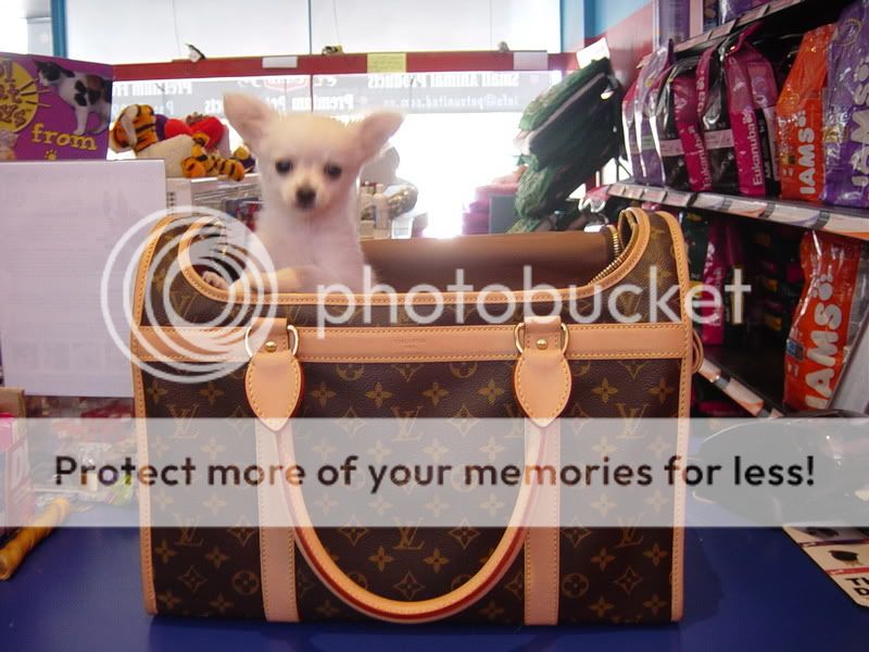 Louis Vuitton Dog Carrier 40