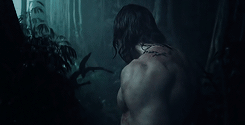 tumblr_o47ij5TRdN1qlgnv9o10_250.gif