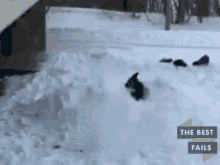 best-fails-best-fail-gifs.gif