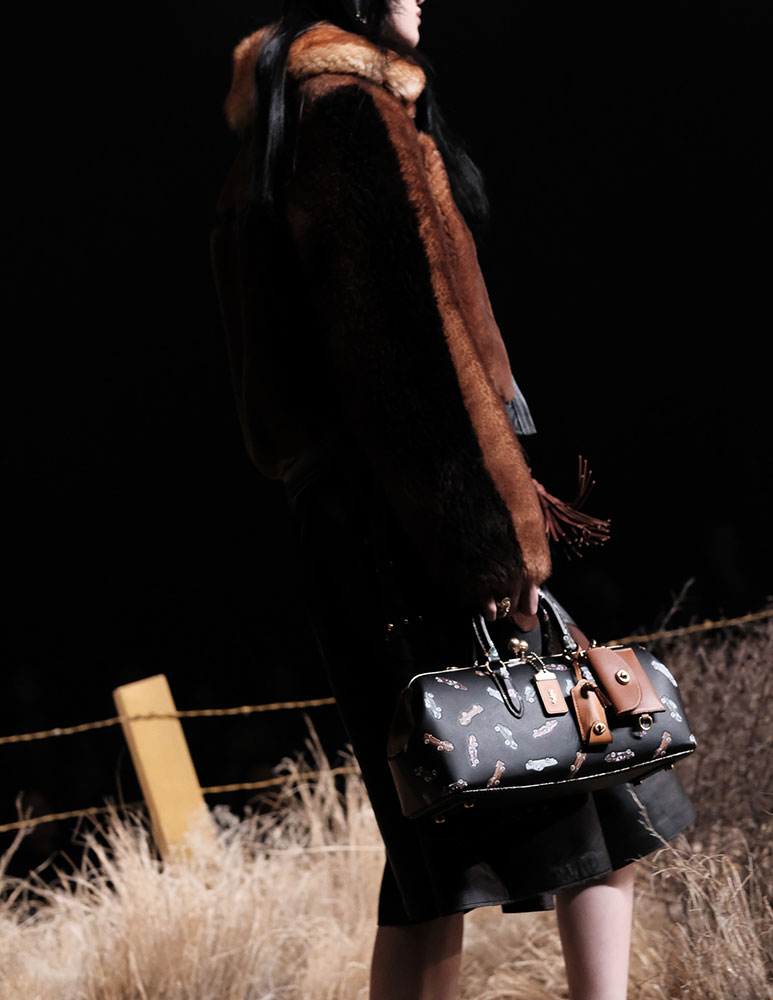 Coach-Fall-2017-Bags-7.jpg