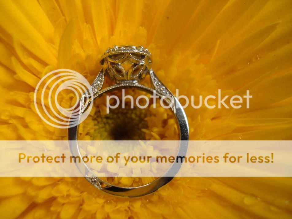 dreamingtacori033120117.jpg