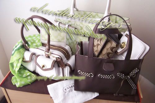 bag0352.jpg