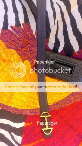 DSC_0483_zps92b47b1d.jpg