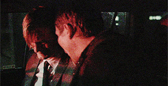 tumblr_mpu0alEDfR1r313iio5_r1_250.gif