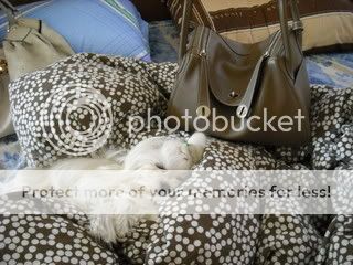 DSCF0003-8.jpg