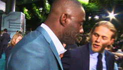 tumblr_mph6es1Pb61r0h4p4o1_250.gif