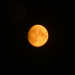 20050818_orange_moon.jpg