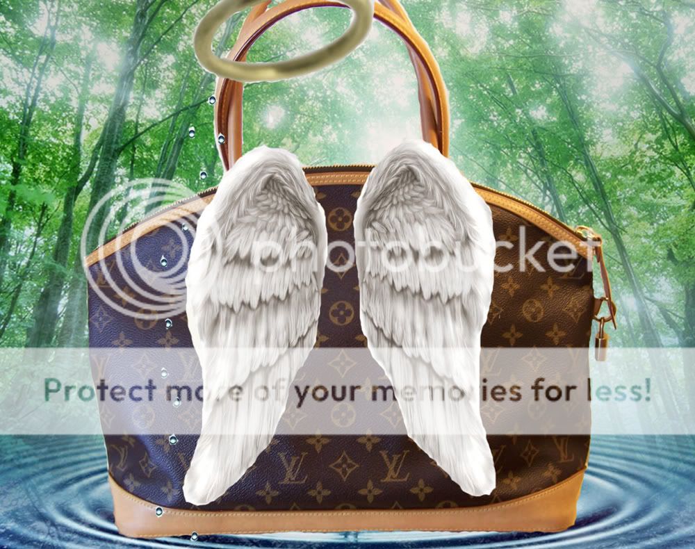 Angelbag.jpg