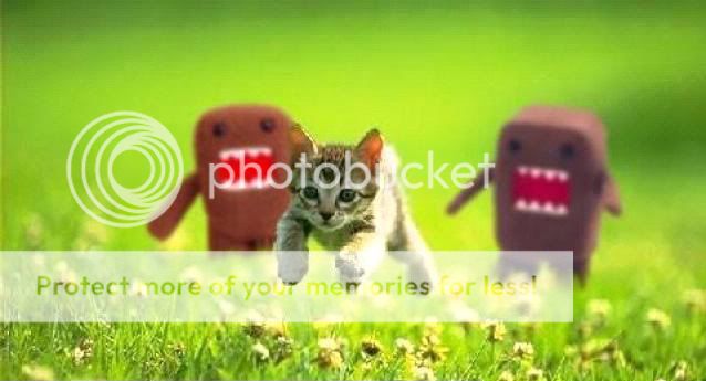 God-kills-kitten.jpg