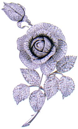 rose.jpeg