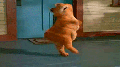 tumblr_inline_myw64rdH8A1rorum1.gif