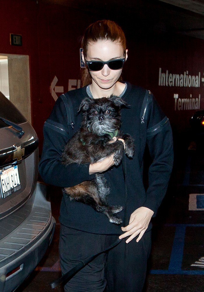 Rooney-Mara-dog-oskar.jpg