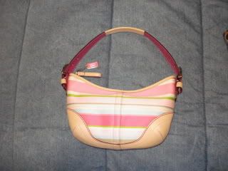 CoachBags004.jpg