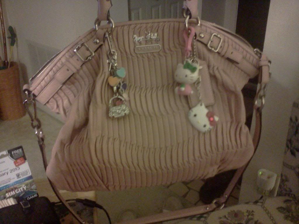 whatsinsidemypurse007.jpg