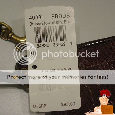 40931BRDB10.jpg