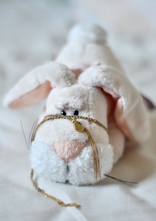 bunnycarol.jpg