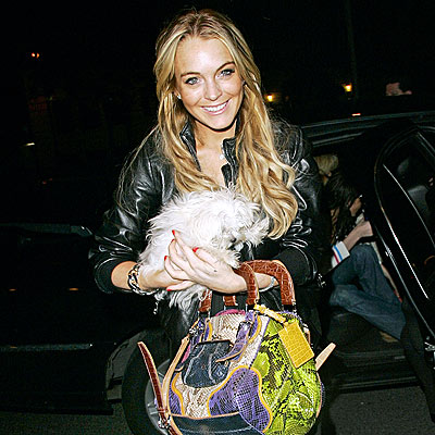 lindsay_lohan2.jpg