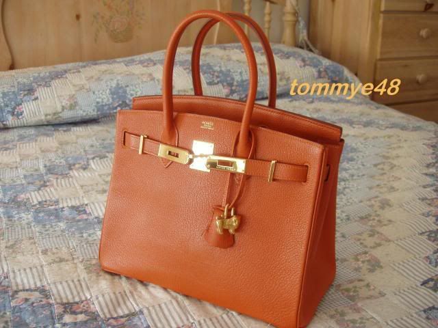 BirkinPotiron2.jpg