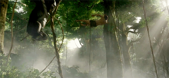 tumblr_o48s0bszQL1qd4rf5o3_540.gif