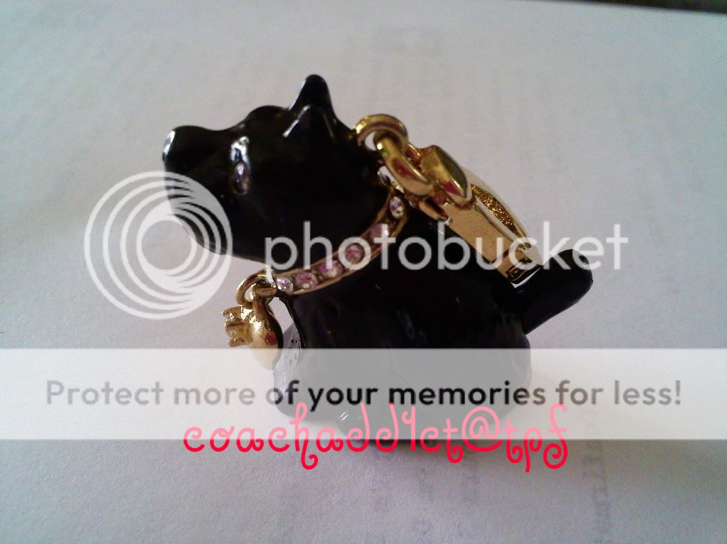 1208000825a.jpg