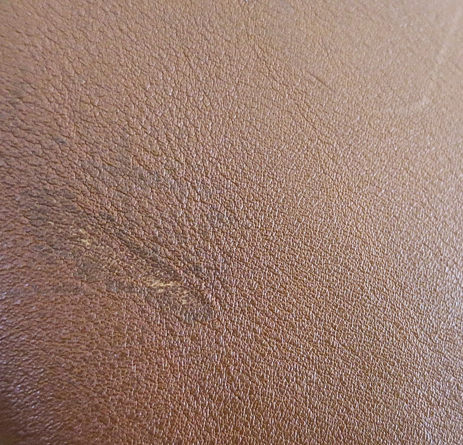 s-l1600.jpg